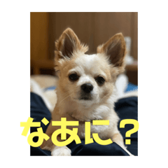 レオさまスタンプ❶