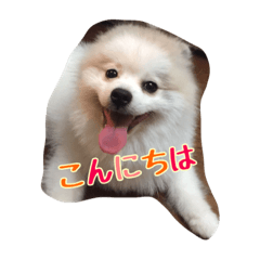 豆大福のスタンプ