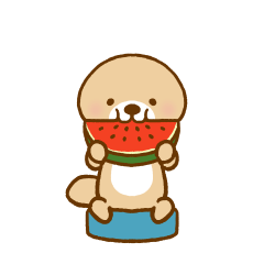 動け！突撃！ラッコさんの夏