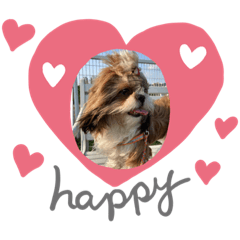 Patty_20211012215724