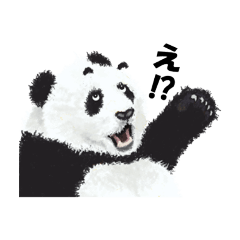 まゆげパンダの８面相