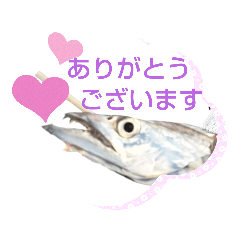 ドラゴンフィッシュ