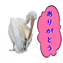 アニマルワールド　9 ミックスアニマル