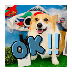 コーギーのたださんf