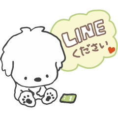 白い犬のルゥです。Vol.4