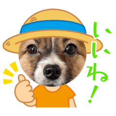 チョコレオSTYLE