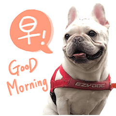 PIGGY SISTER LIN (Revised Version)