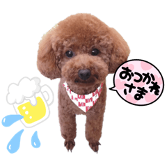 といぷーそらこ♡