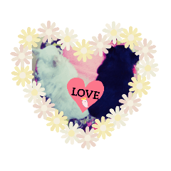 おばけのお千代と義理のお姉ちゃん達