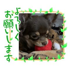 ライナの癒しスタンプ