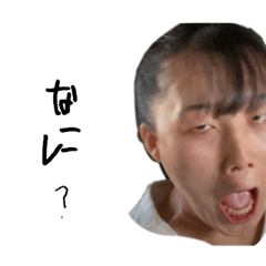 びびんばとあぼかどの日常