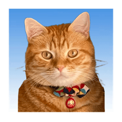 金之助スタンプ