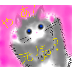 簡単会話、ときどきにゃんこ登場‼️