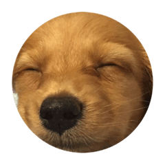 ティアスタンプ 1