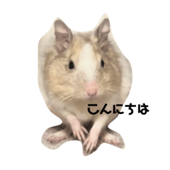 すいたむスタンプ