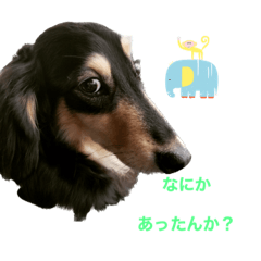 サスケでいろいろ