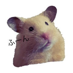 きんくまむぎちゃん2