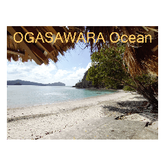 【世界遺産】小笠原の自然