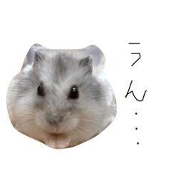 風邪ひいちゃった