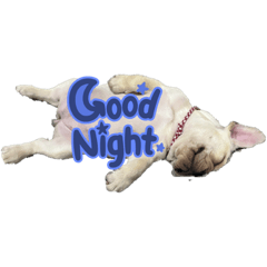 フレブルのはなちゃんスタンプ①