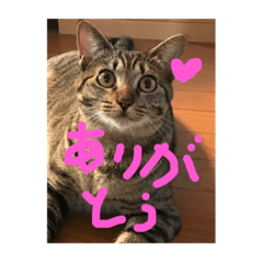 マロンとハーブの生活