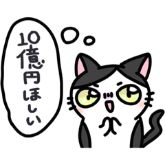 福を呼ぶ！！かぎしっぽねこ大ちゃんの冬