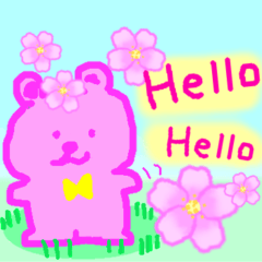 春だよ！ピンクぼっち　くまさん　桜満開！