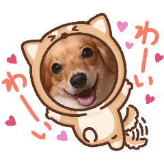 チロルチョコ 歓喜