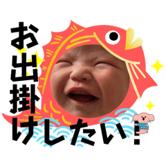 にこにこかいとのわんぱく大冒険2024春