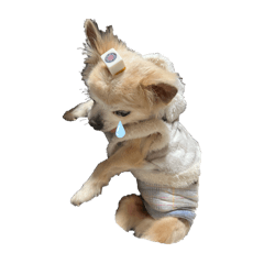 うちの4兄弟♡*