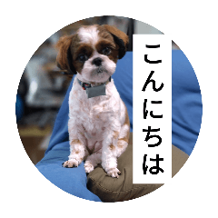 大きい字のむぎちゃんスタンプ