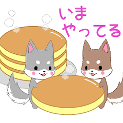 ちびハスキー8【いま何してる？】