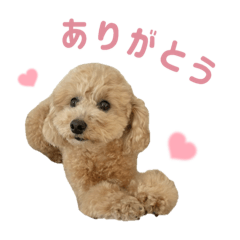 エピちゃんの日常スタンプ