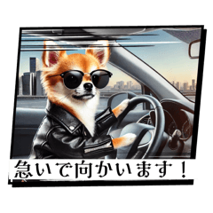 チワワの日常会話集