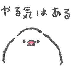 やる気がない文鳥さん