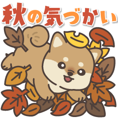 飛びだす♪秋のぽてぽて子柴犬スタンプ