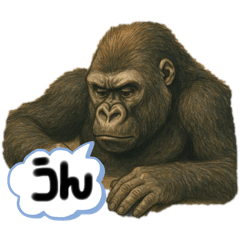 ゴリラと共に……