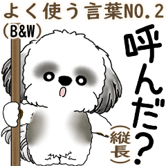 B&W シーズー犬 「飛び出す」No.2（縦長）