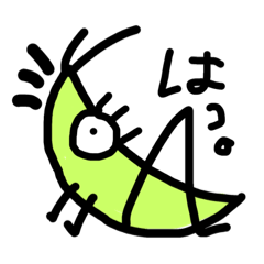 ショウリョウバッタ夫人。