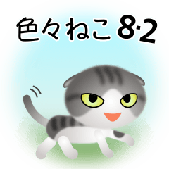 色々な猫8-2 短毛-垂れ耳-サバトラ白