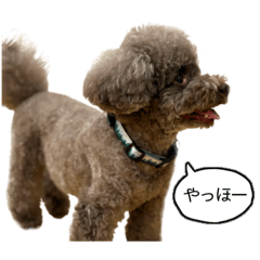 CLIVE公式スタンプ第1弾