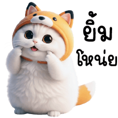 Fox Hat Cat