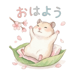 ふんわり優しい♡大人の気づかいハムスター