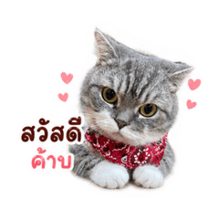 Kanneee_20260611160206