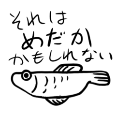 めだかのようなさかな