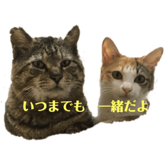 ボスラブスタンプ