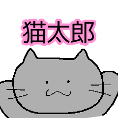 猫太郎とトレカやろう！