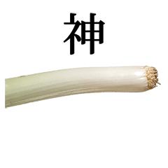 ネギ の 根元 と 漢字