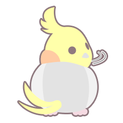 オカメインコな毎日