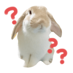 ロップちゃんの日常2